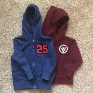 Hoodies (2t)